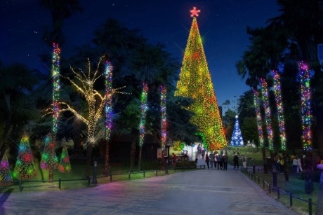 The centrepiece of the new winter attraction will be the Bournemouth Wonderland Tree